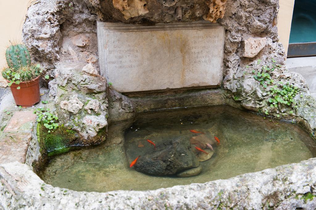 Bed and Breakfast Domus Capilupi Rzym Zewnętrze zdjęcie